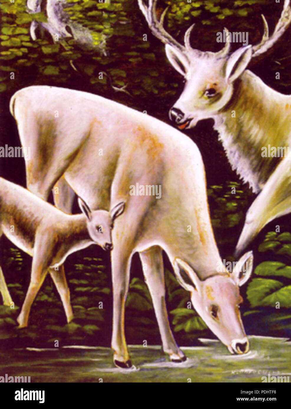 30 U Pirosmani. La famiglia Cervi a waterhole Foto Stock