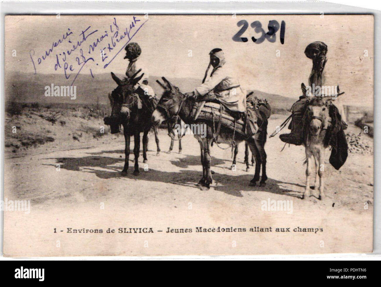 297 Slivitsa uomini su cavalli Foto Stock