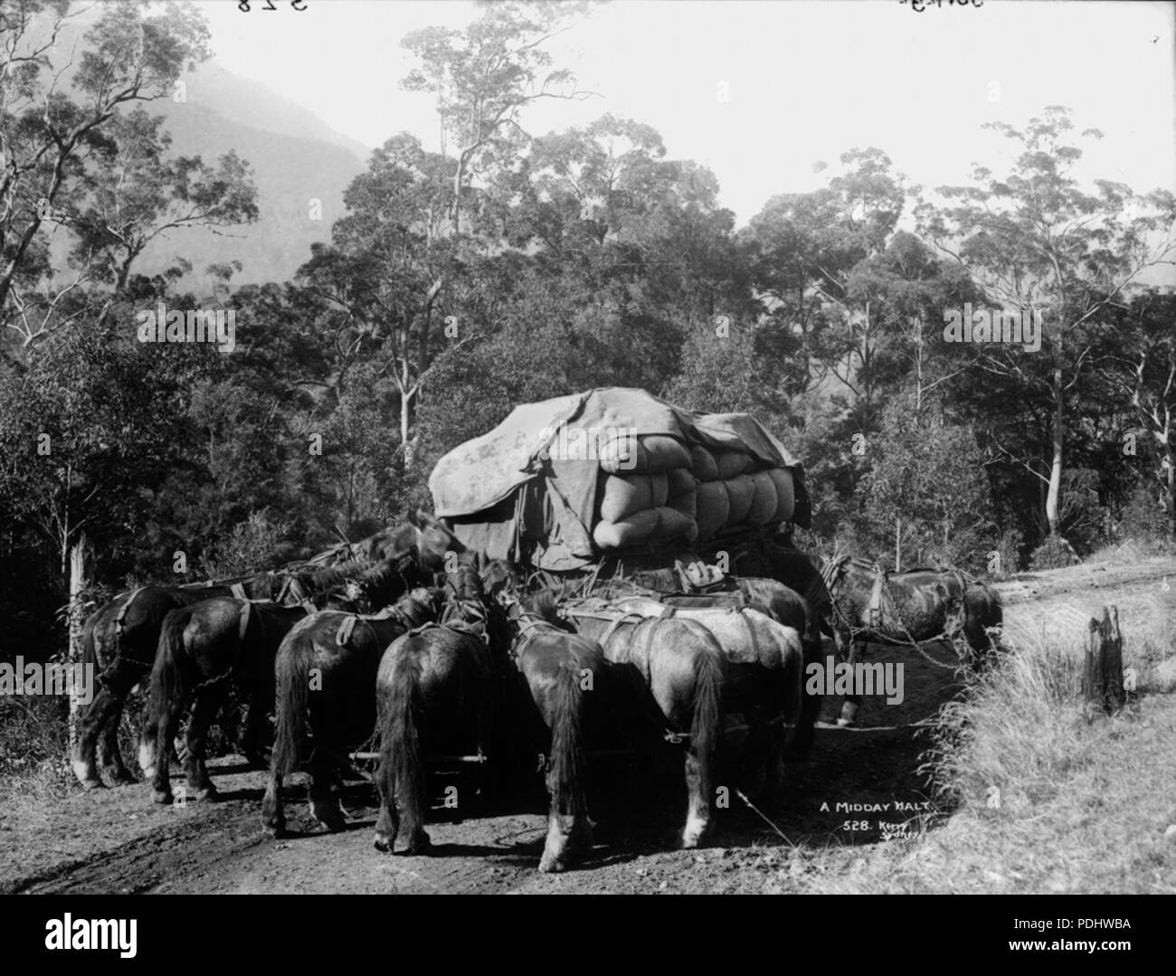 8 un mezzogiorno halt dal Powerhouse Museum Collection Foto Stock