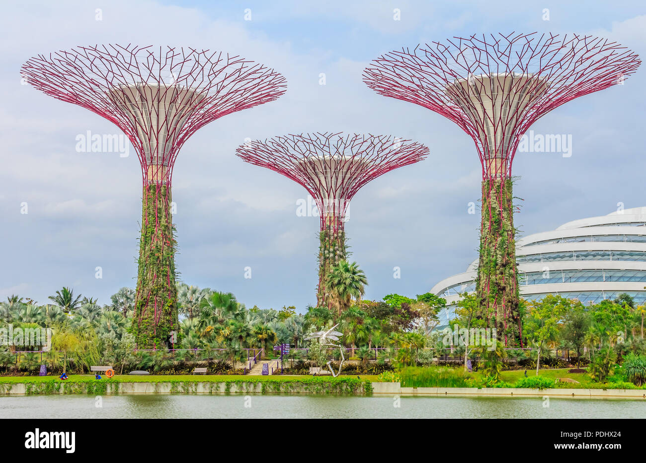 Singapore Supertrees presso i giardini della baia Foto Stock
