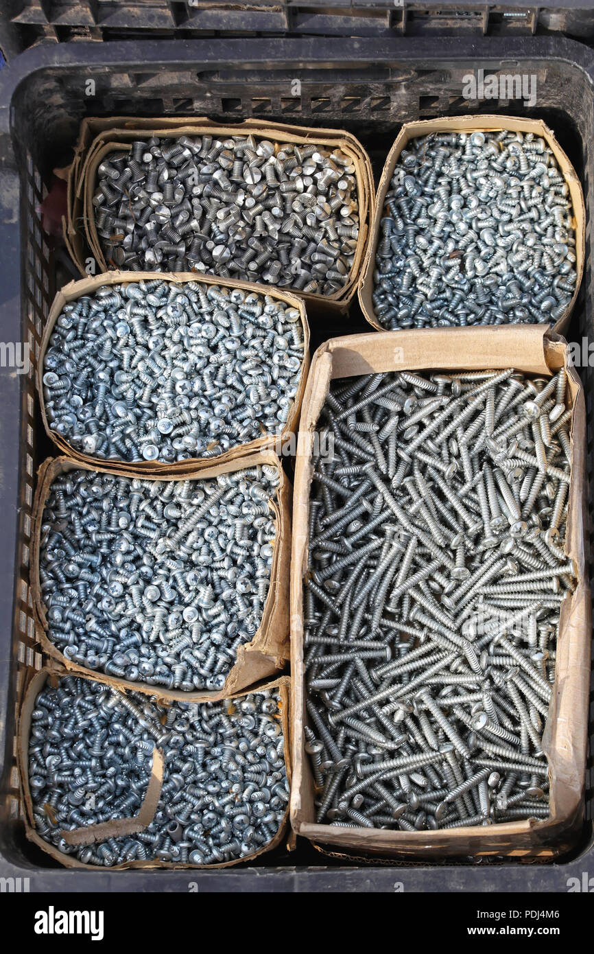 Scatole di viti per legno in hardware shop Foto Stock