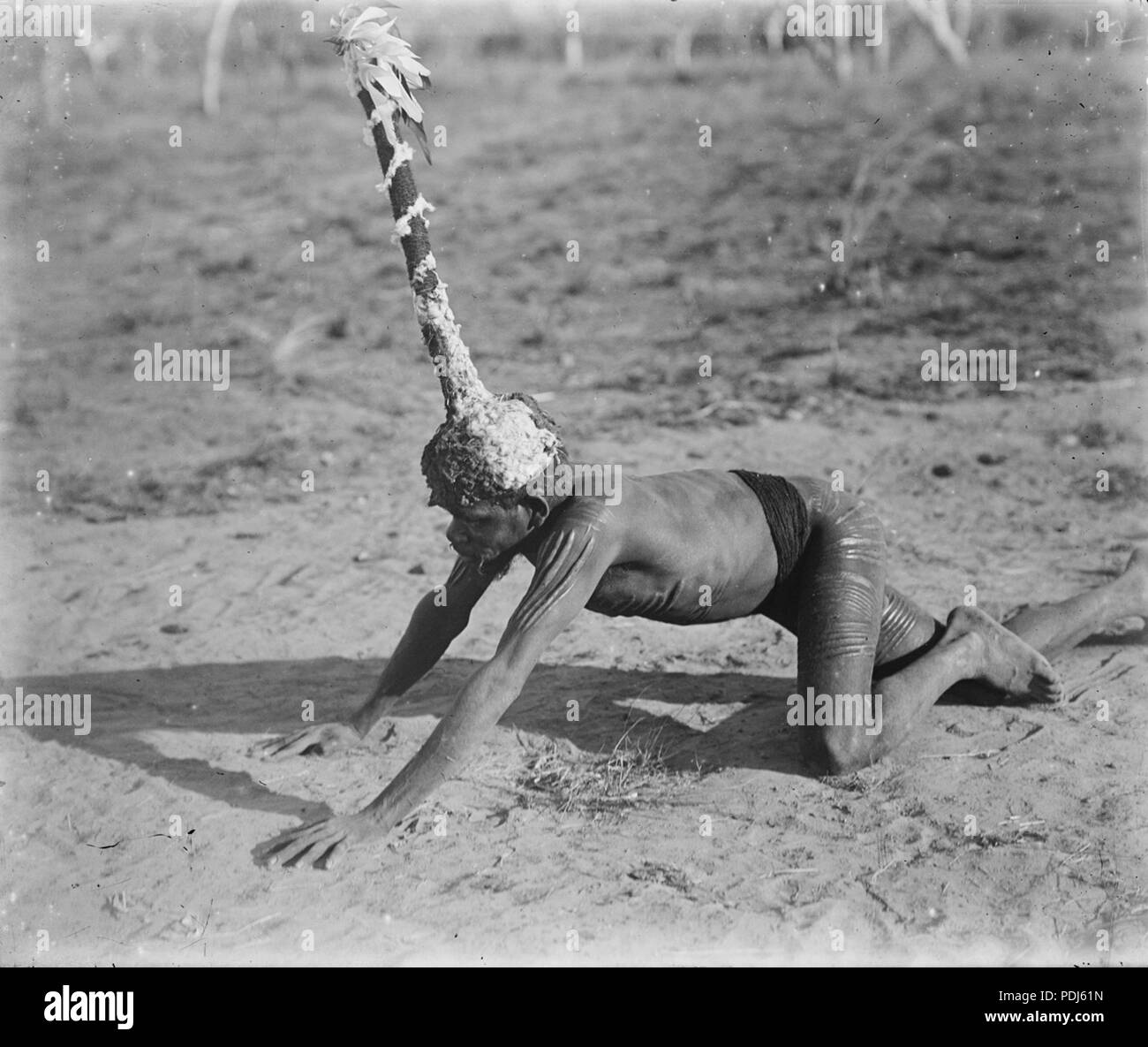 76 Kolaia uomo Foto Stock