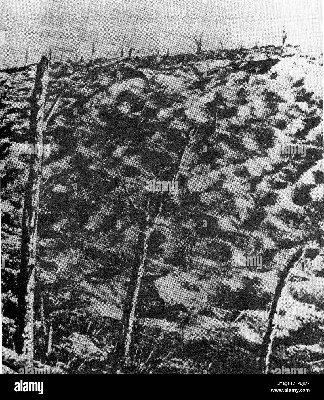 368 Verdun (HistoriaPolski str.23) Foto Stock