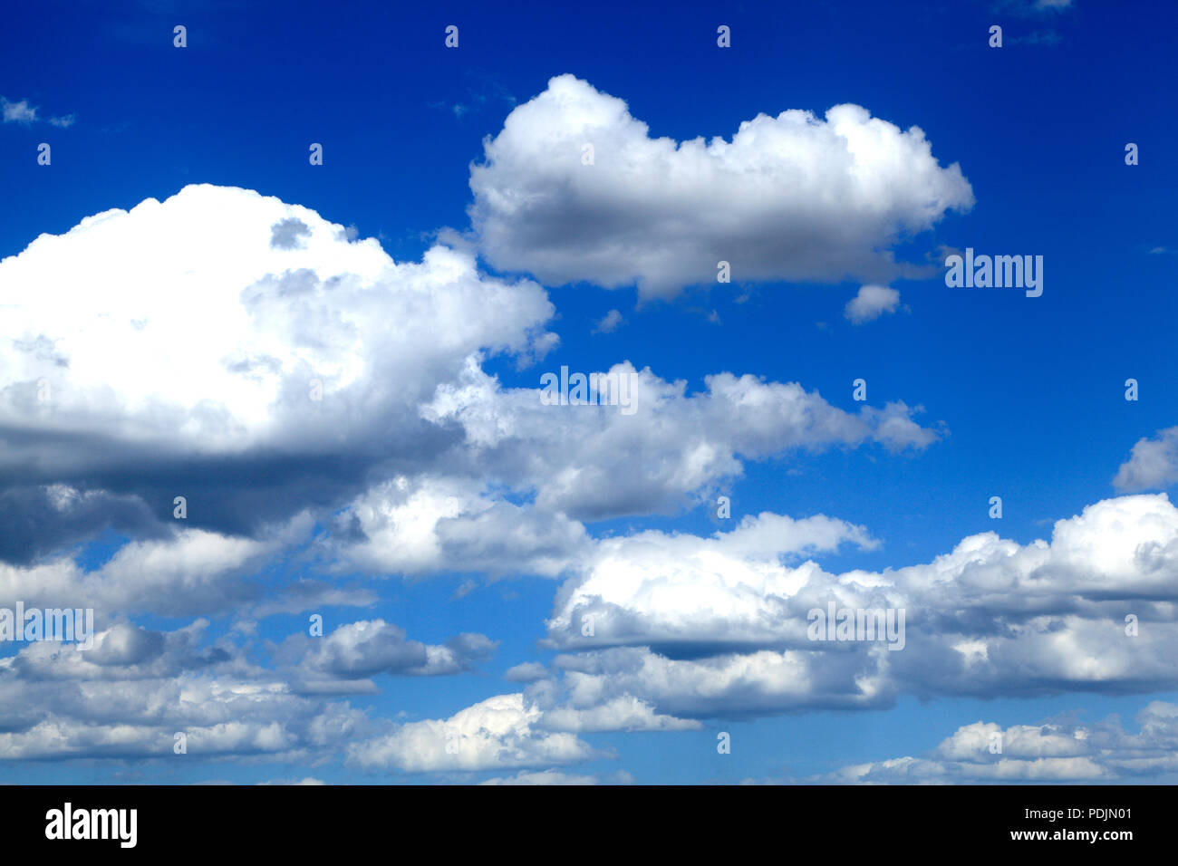 Bianco, cumulous cumulus, cloud, nuvole, cielo blu, Norfolk, Inghilterra, Regno Unito Foto Stock