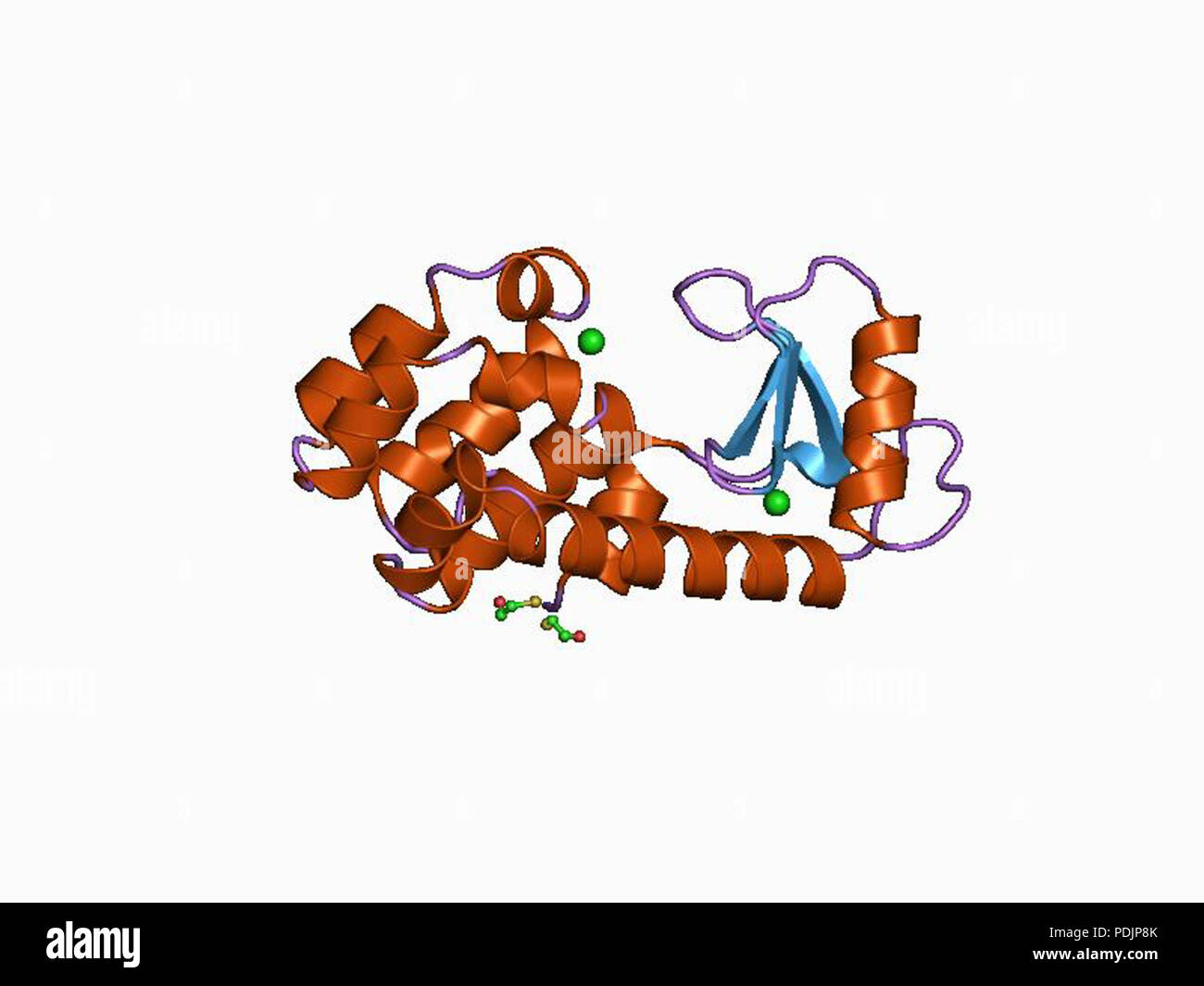 3 ppb 107l EBI Foto Stock