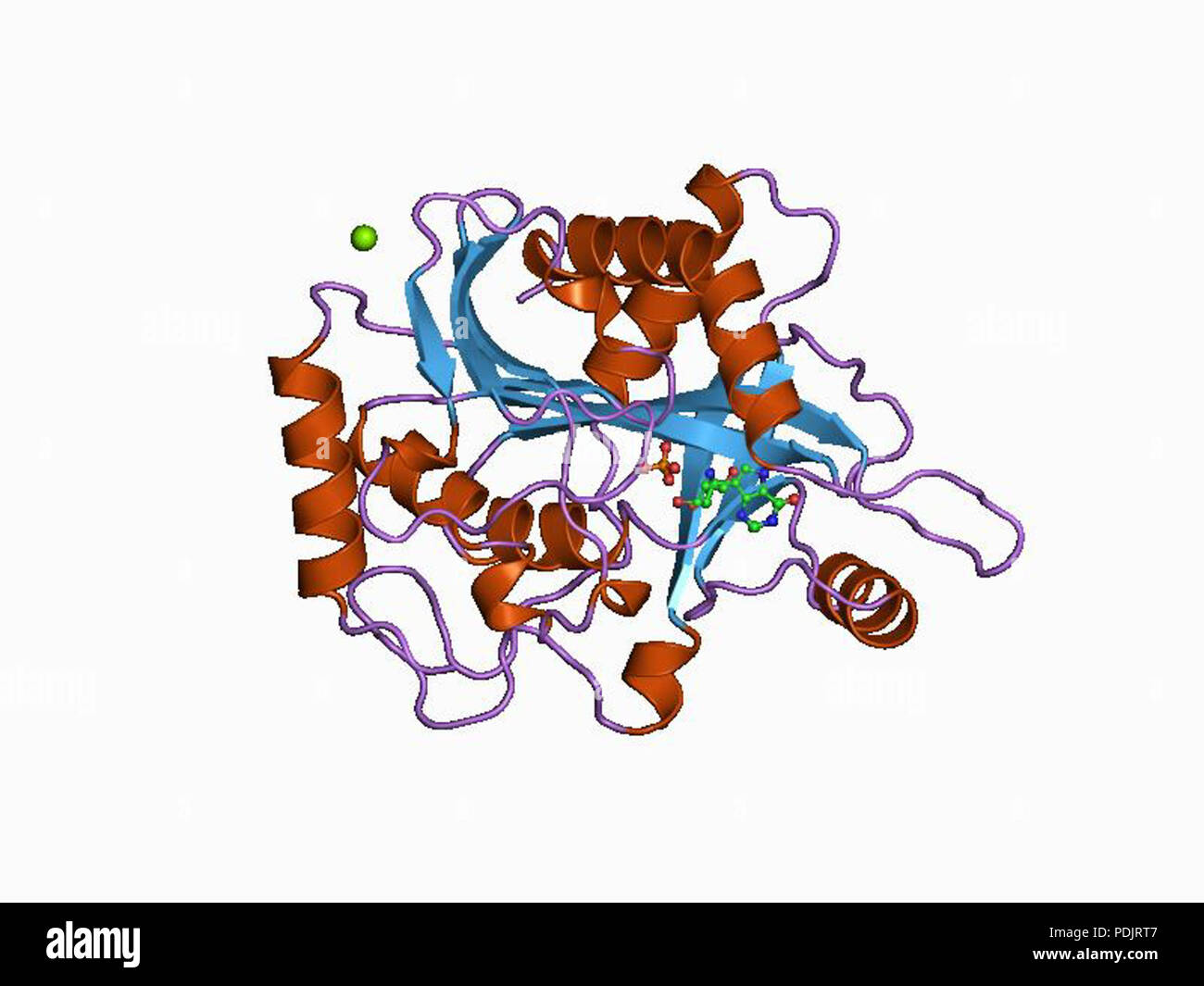 11 PDB 1b8o EBI Foto Stock