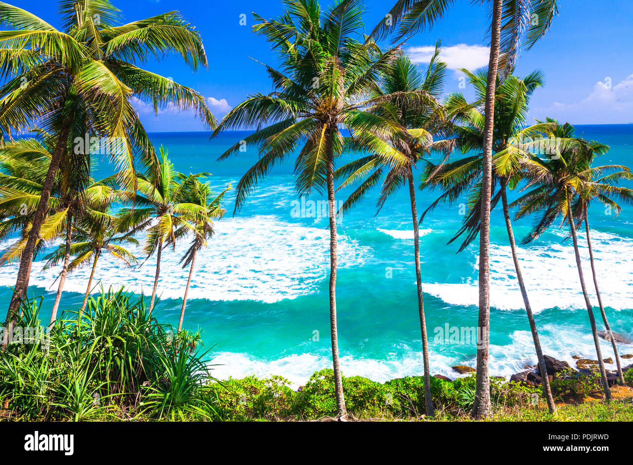 Bellissima spiaggia di Sri Lanka,vista con un mare azzurro e palme. Foto Stock