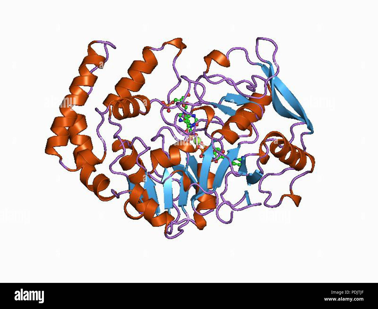 18 PDB 1CG0 EBI Foto Stock