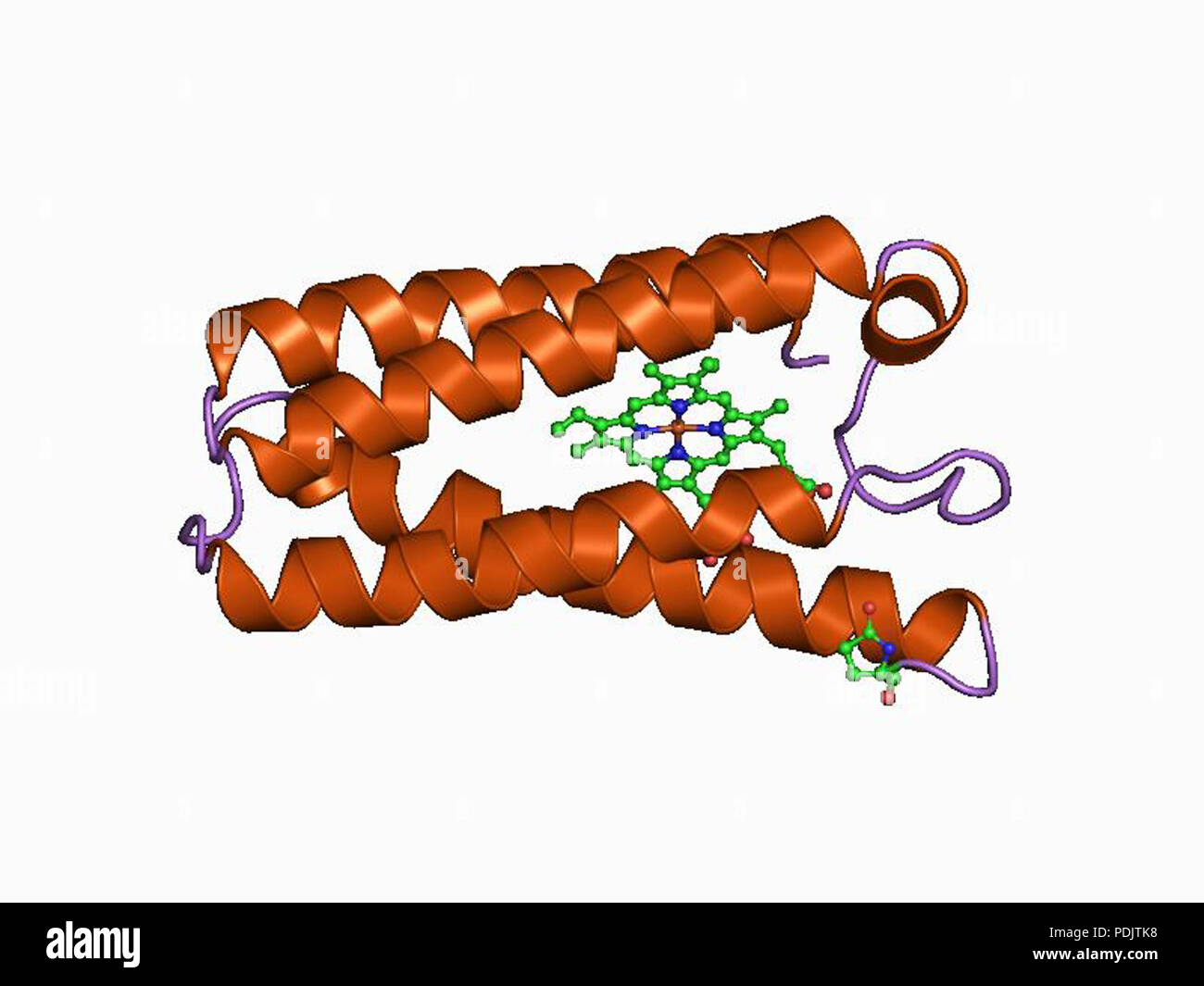18 PDB 1cgn EBI Foto Stock