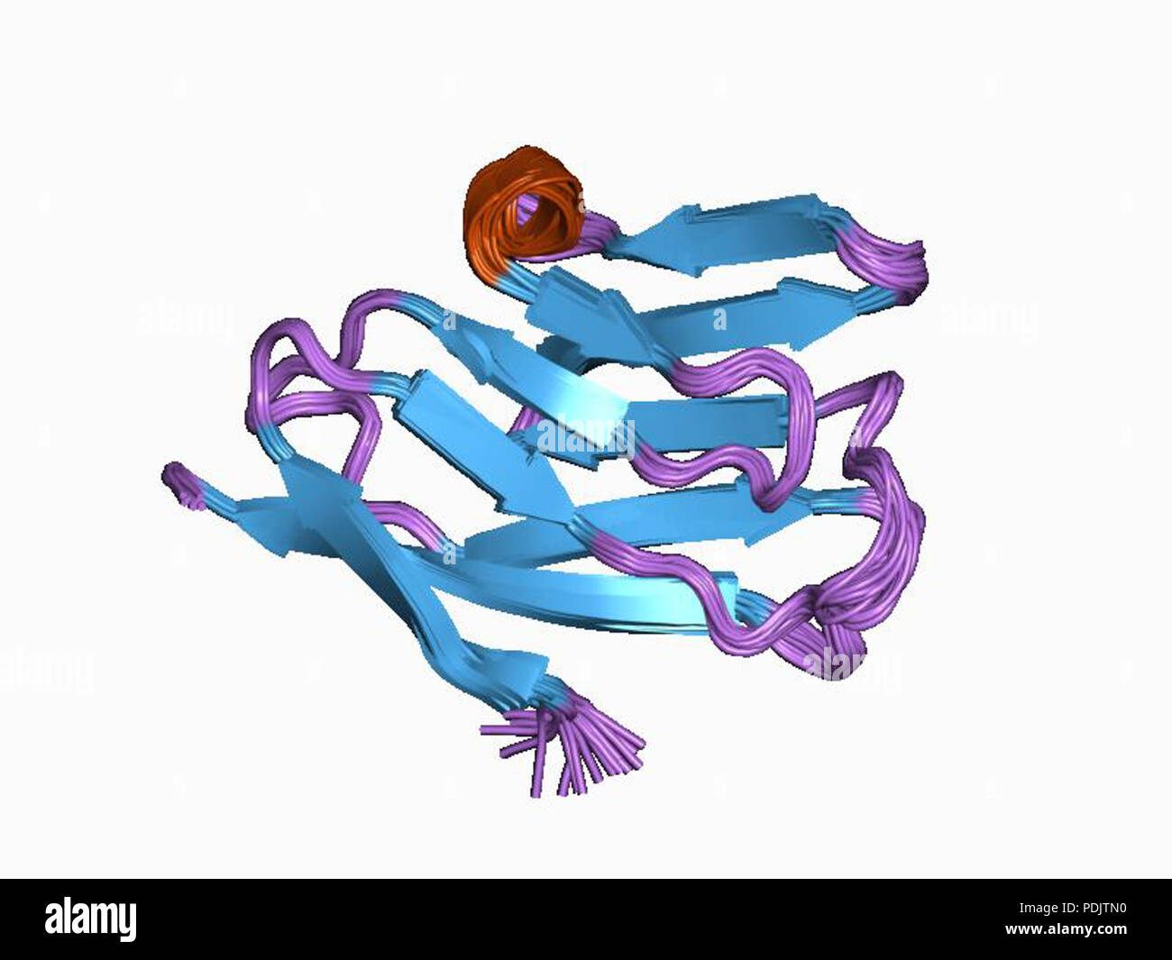 19 PDB 1Cl5 EBI Foto Stock