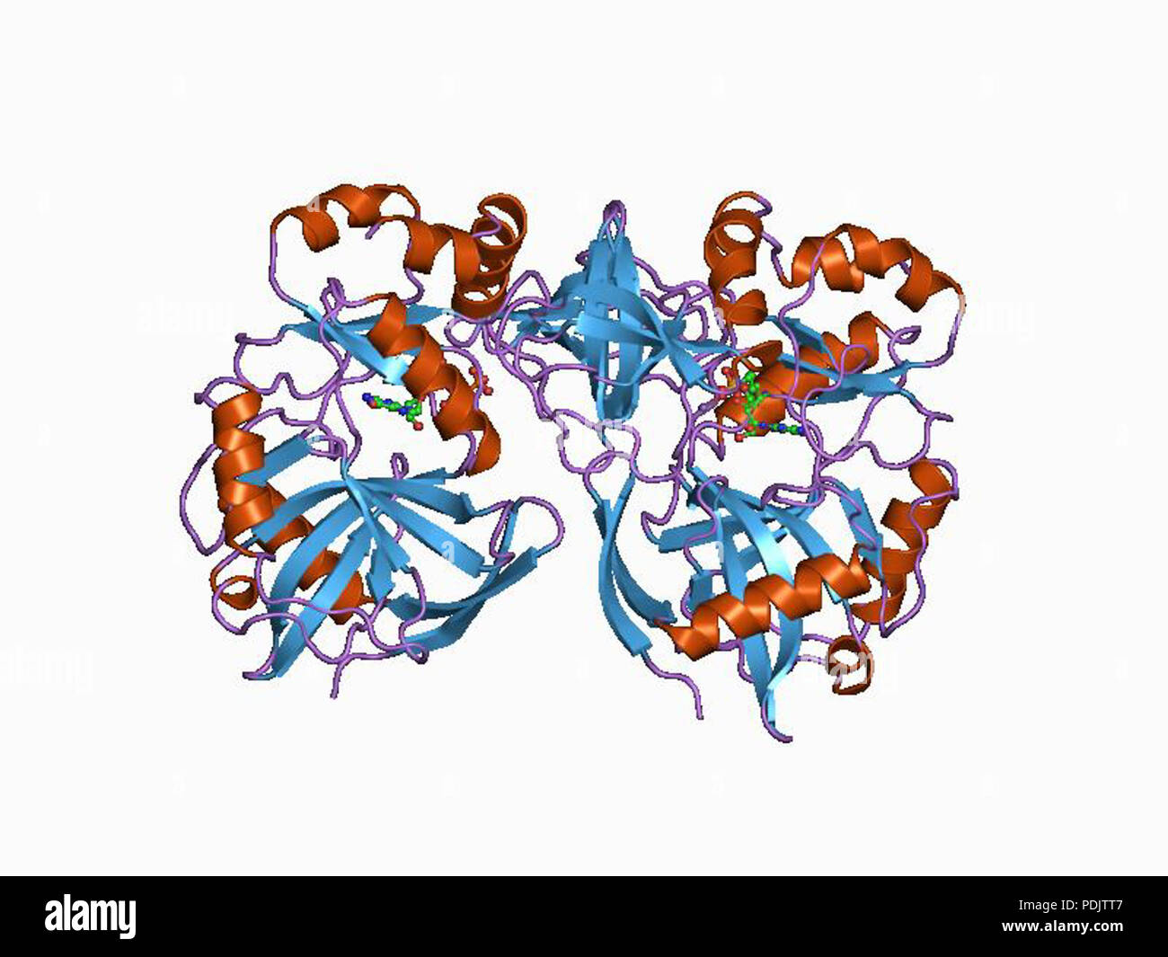 19 PDB 1ckn EBI Foto Stock
