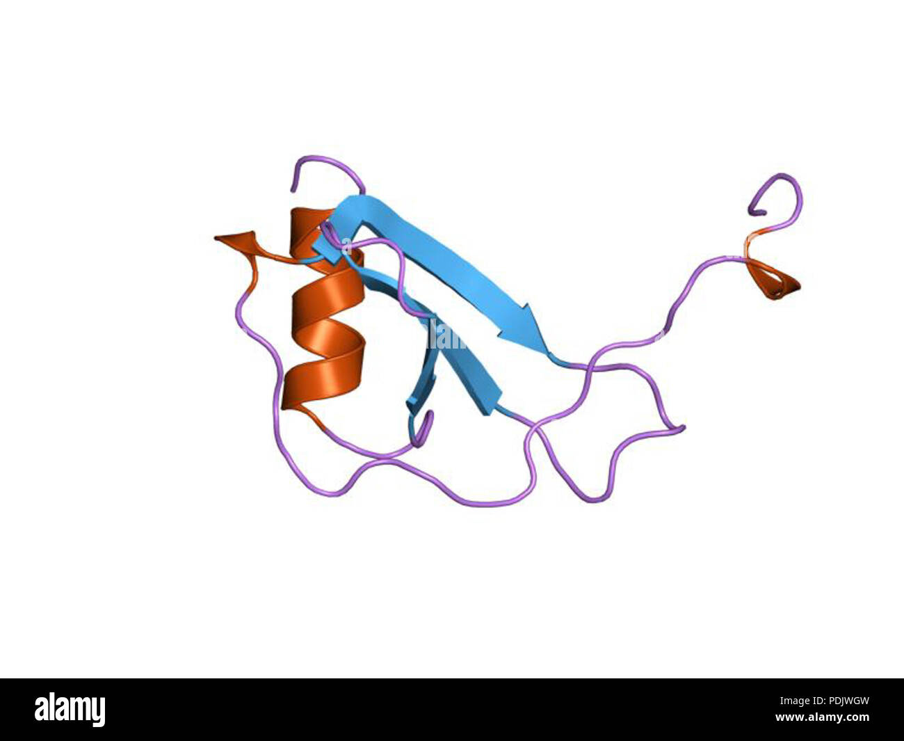 25 PDB 1dol EBI Foto Stock