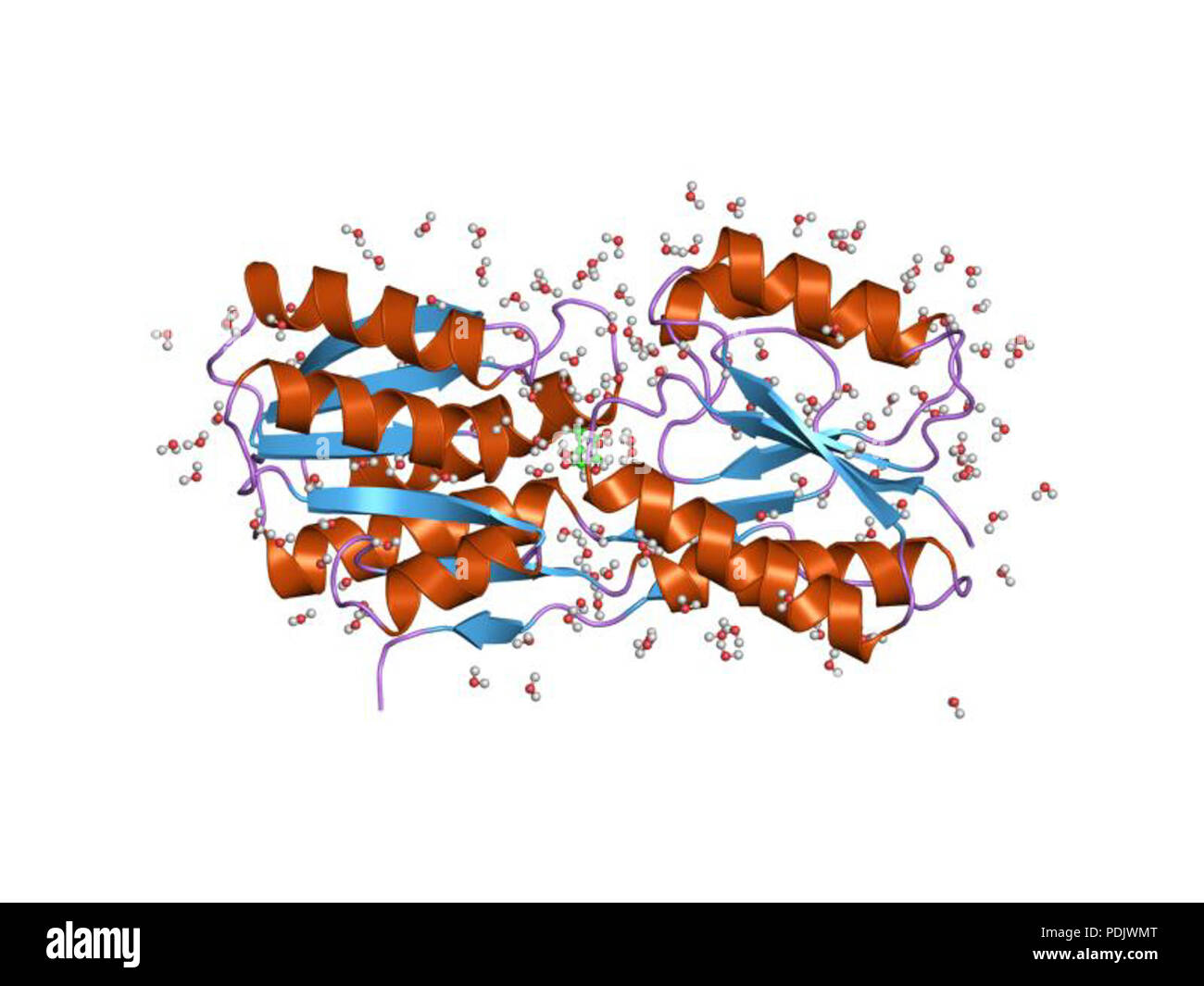 26 PDB 1drj EBI Foto Stock
