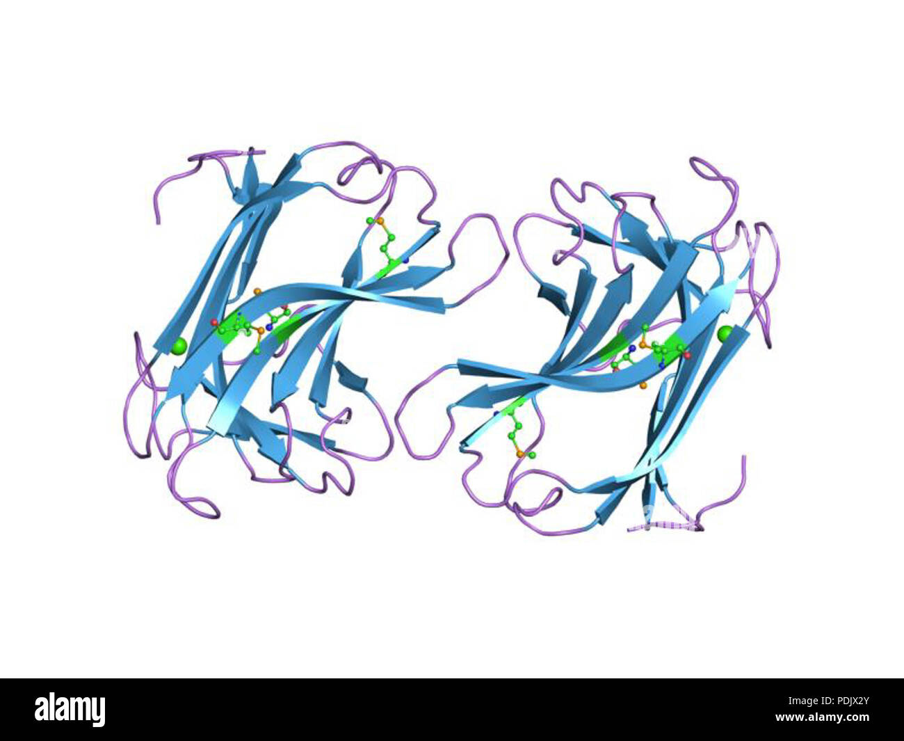 27 PDB 1dyo EBI Foto Stock