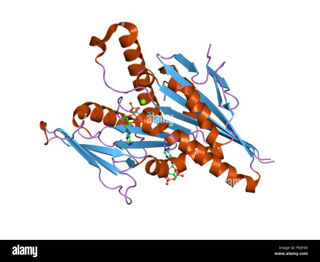 35 PDB 1f9v EBI Foto Stock