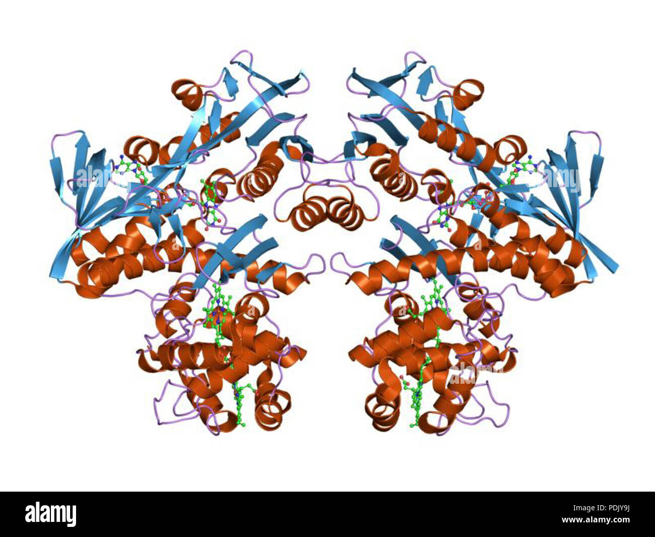 35 PDB 1fcd EBI Foto Stock