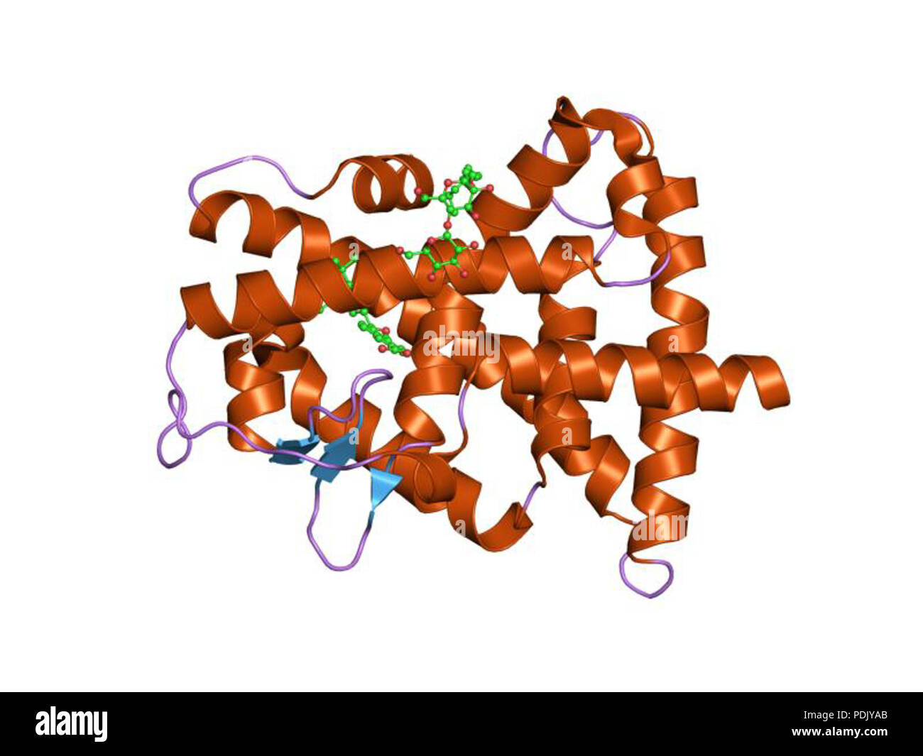 35 PDB 1fcx EBI Foto Stock