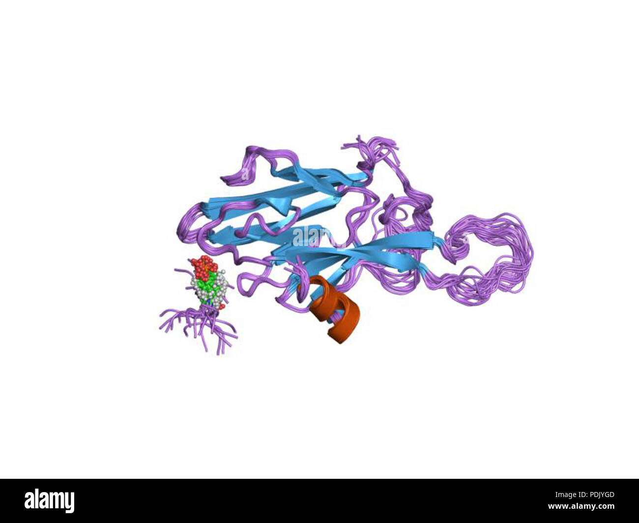 36 PDB 1fhr EBI Foto Stock