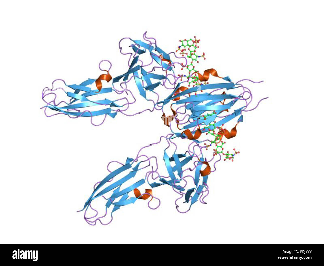 37 PDB 1fq9 EBI Foto Stock