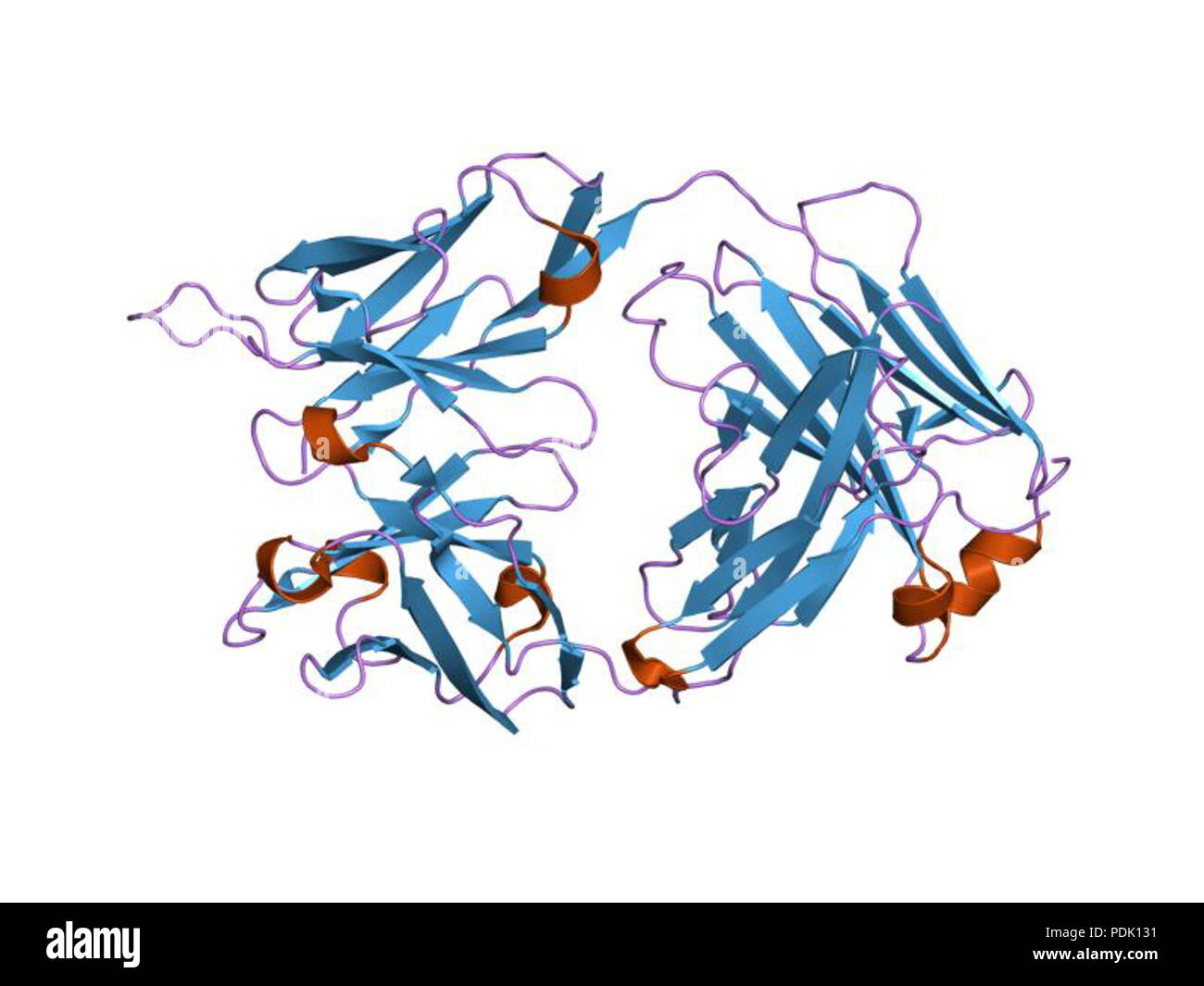 46 PDB 1h3p EBI Foto Stock