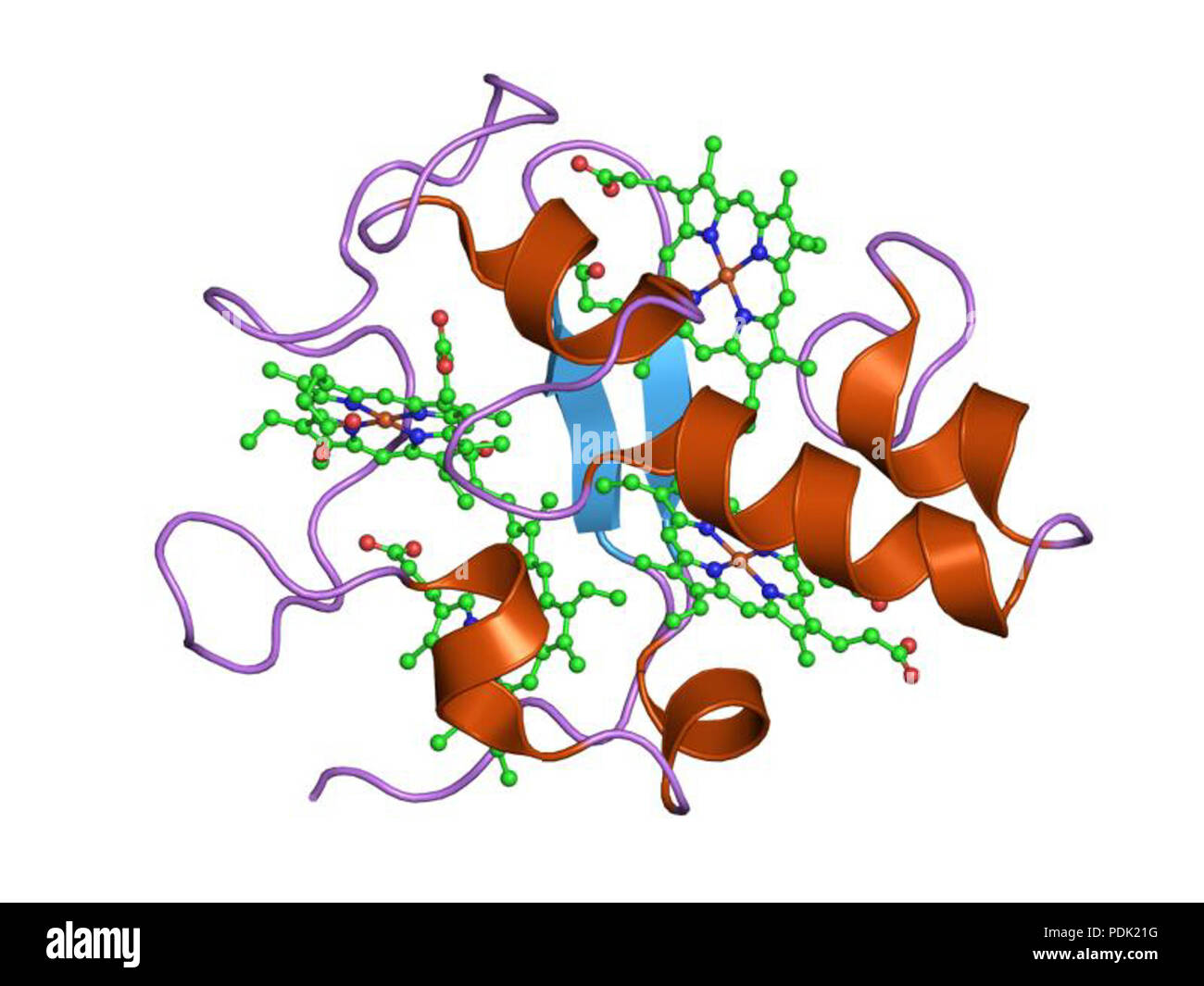 52 PDB 1i77 EBI Foto Stock