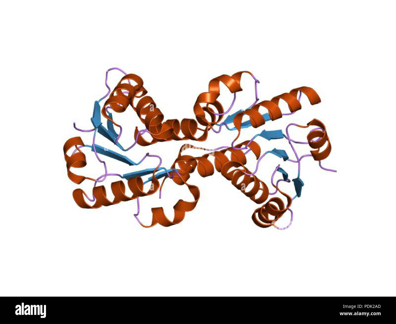 53 PDB 1id1 EBI Foto Stock