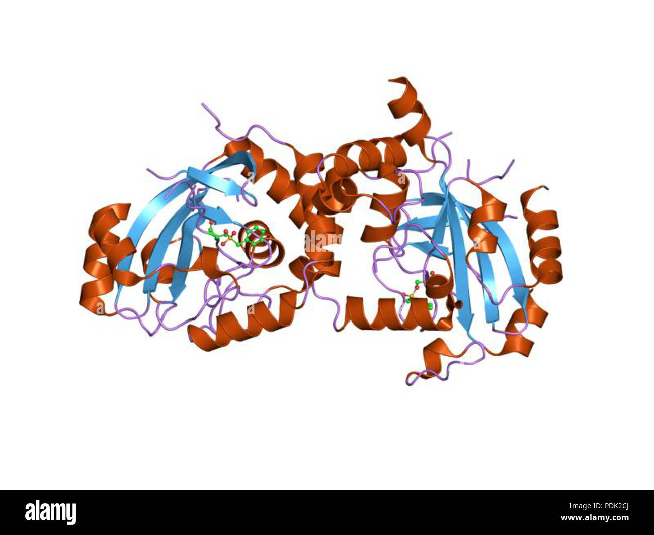 53 PDB 1EBI IEC Foto Stock