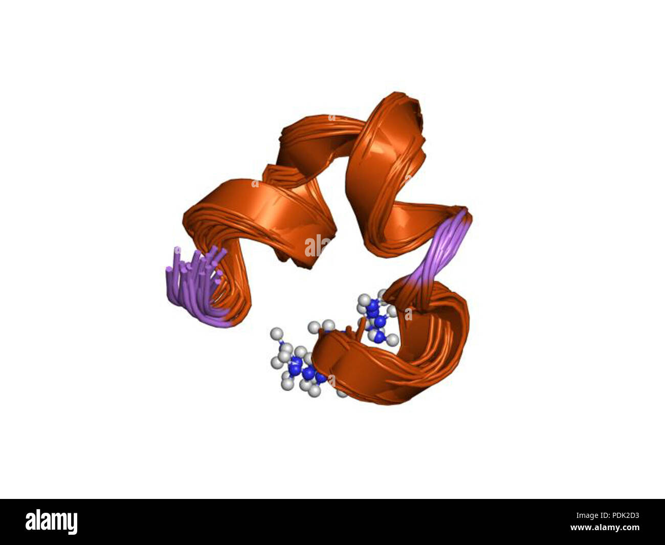 53 PDB 1ien EBI Foto Stock