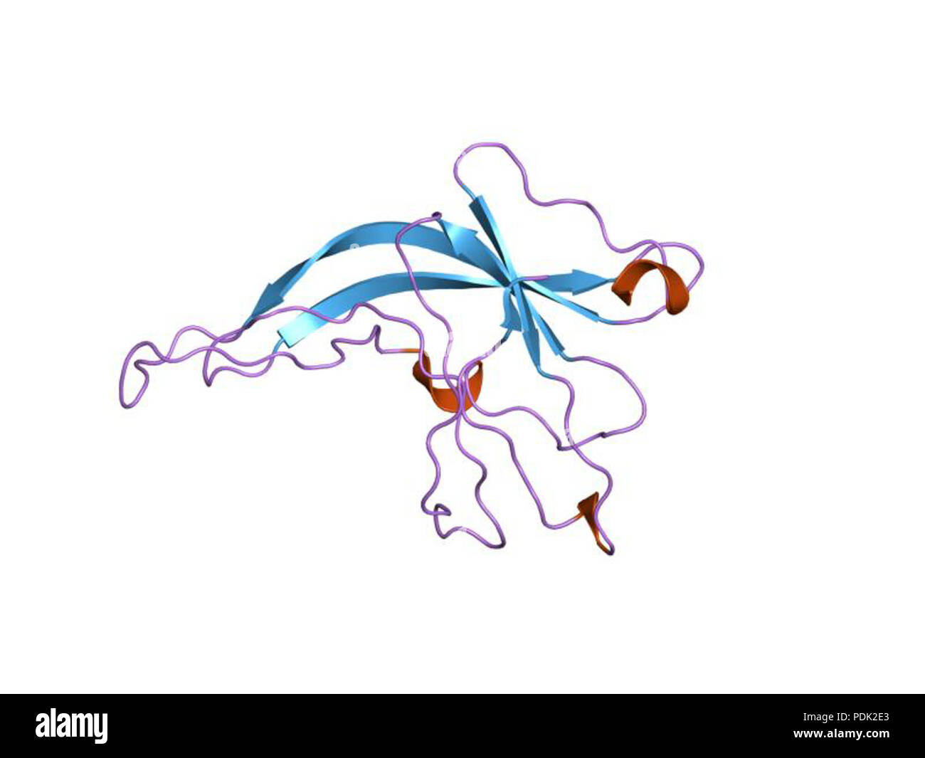 53 PDB 1ifg EBI Foto Stock