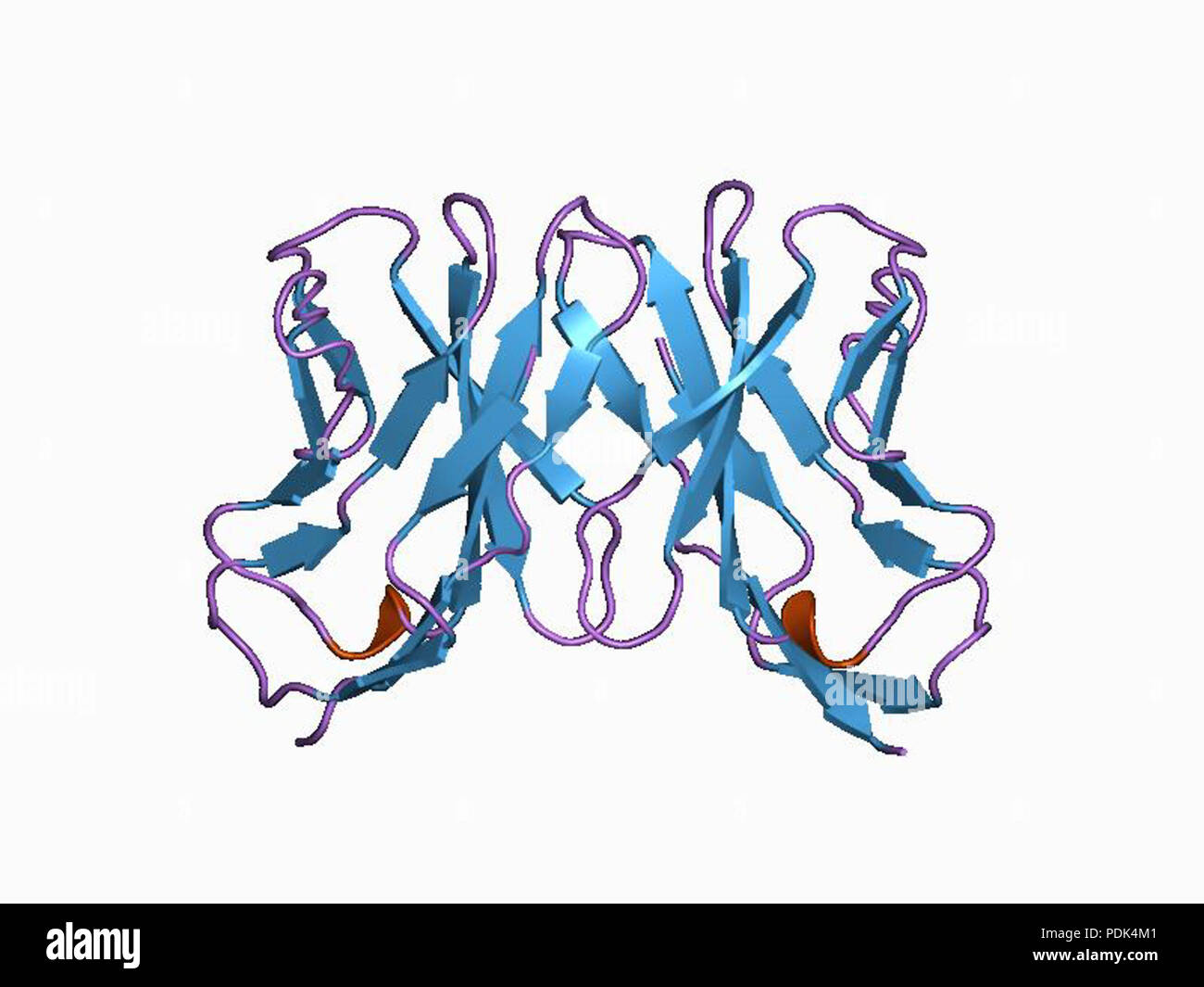 6 PDB 1ac6 EBI Foto Stock