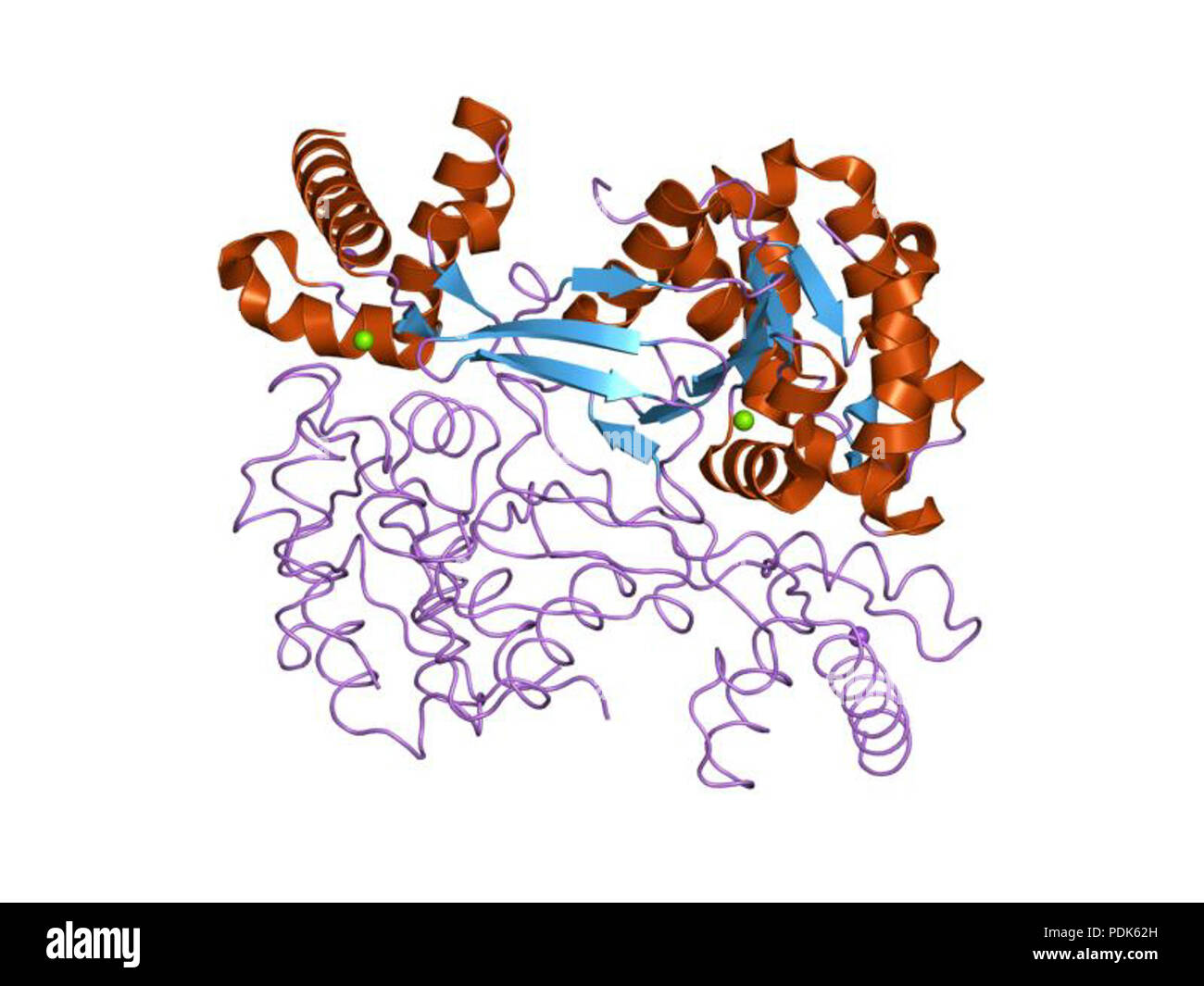 22 PDB 1d3y EBI Foto Stock