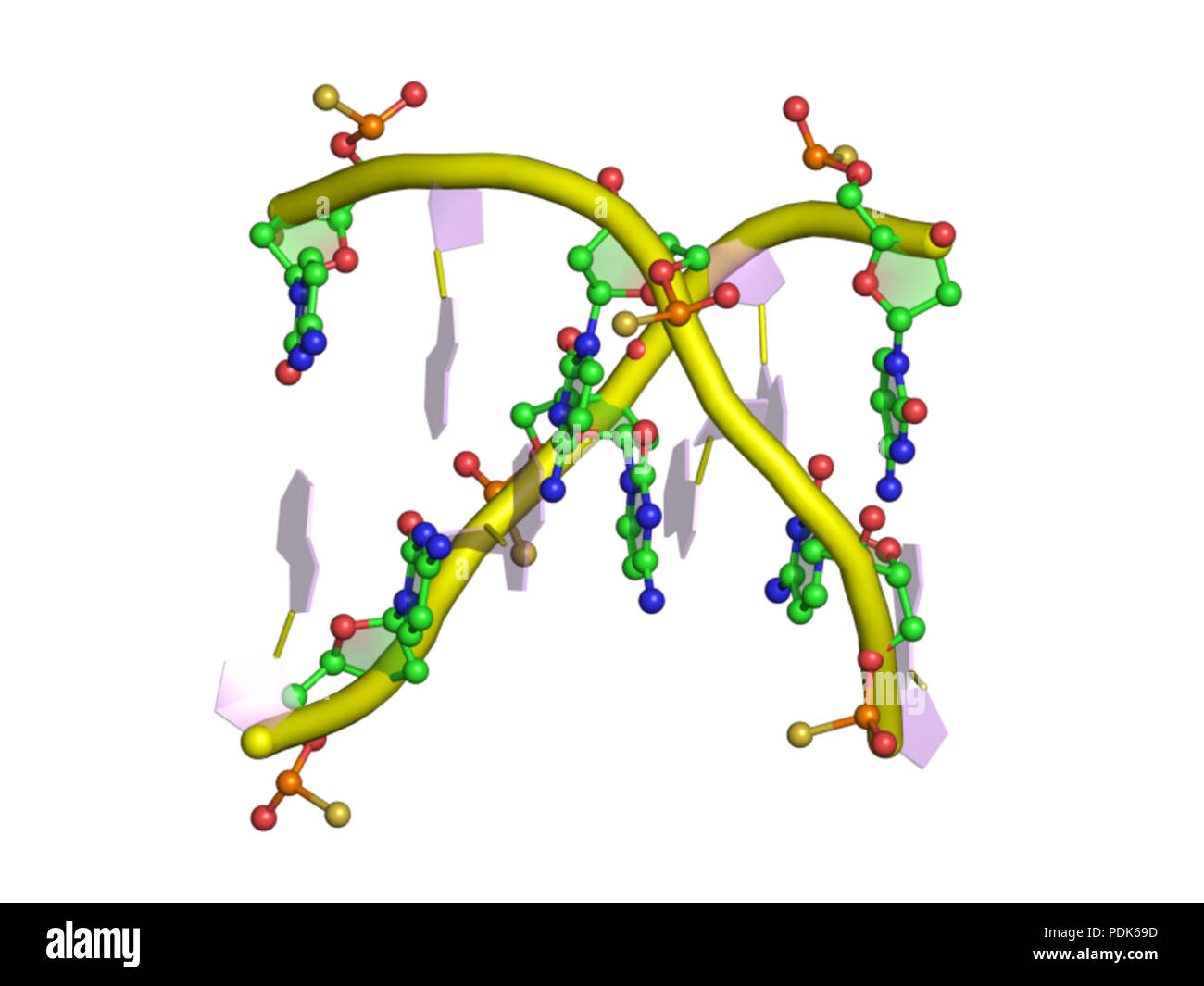 23 PDB 1d97 EBI Foto Stock