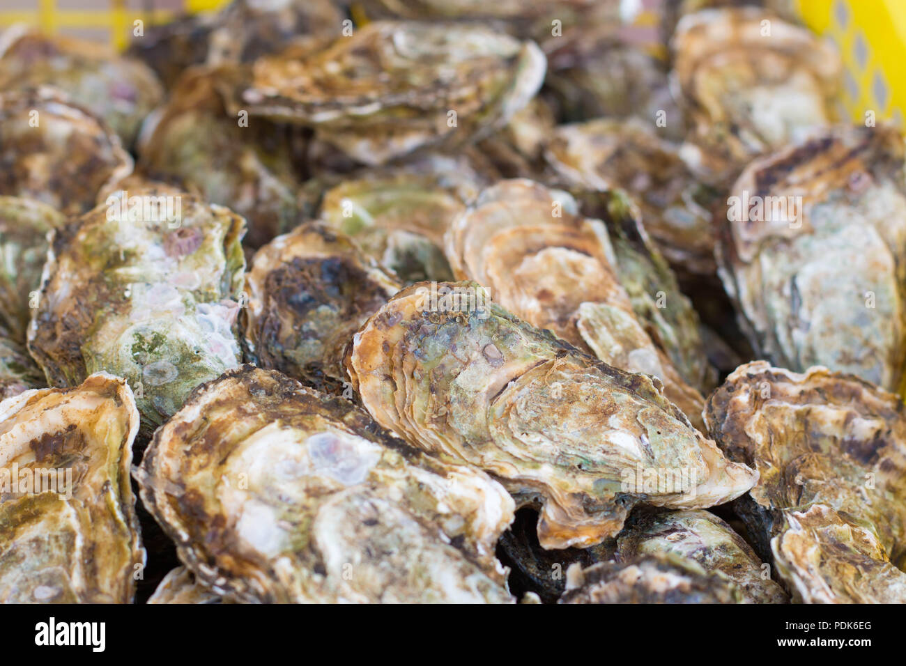 Ostriche pattern close up, uno di francia tipici piatti a base di pesce. Foto Stock