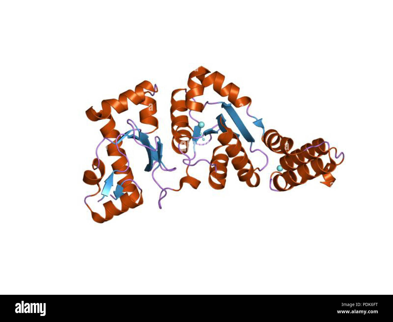 24 PDB 1EBI DDE Foto Stock
