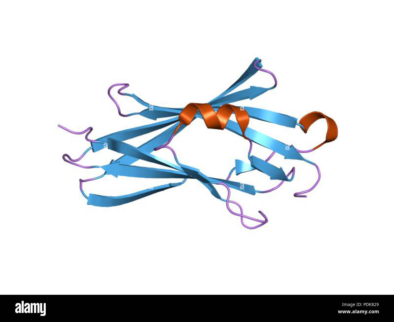 38 PDB 1UST EBI Foto Stock