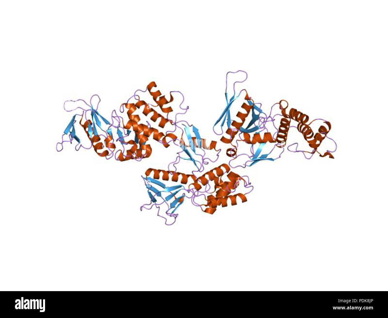 42 PDB 1gg3 EBI Foto Stock
