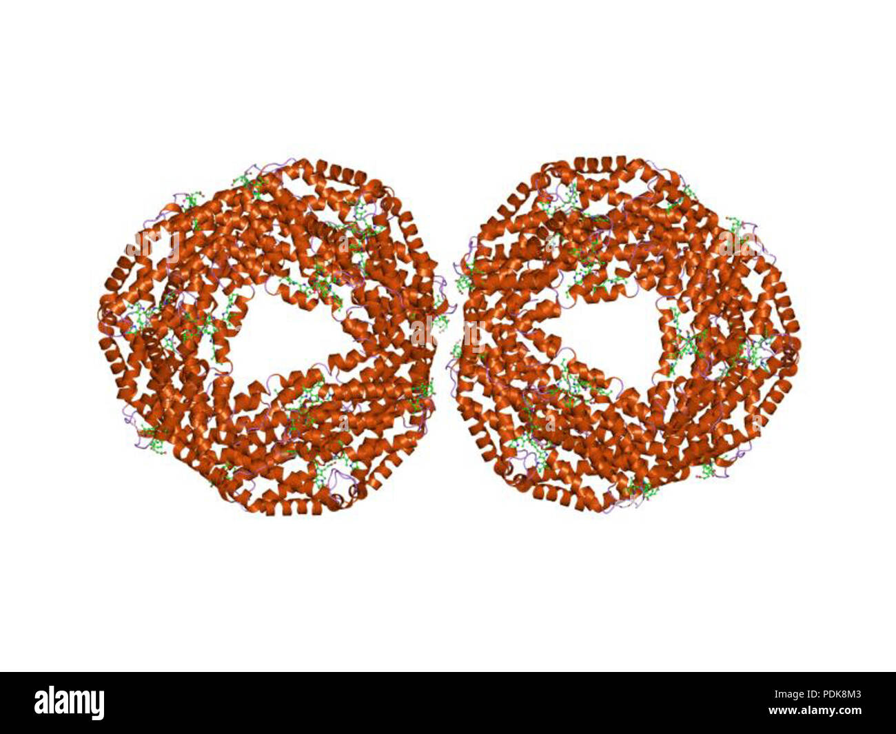 42 PDB 1GH0 EBI Foto Stock