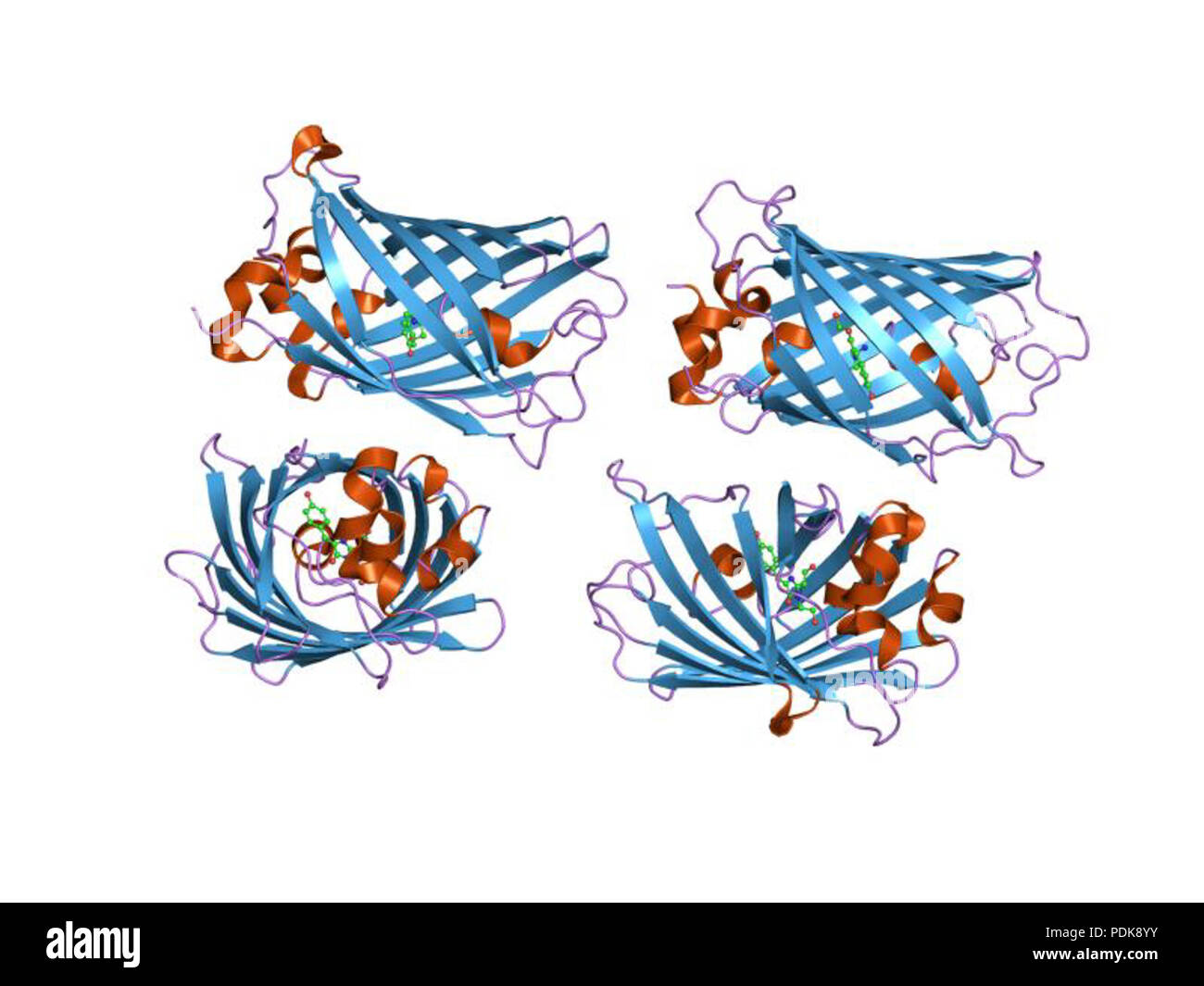 47 PDB 1hcj EBI Foto Stock