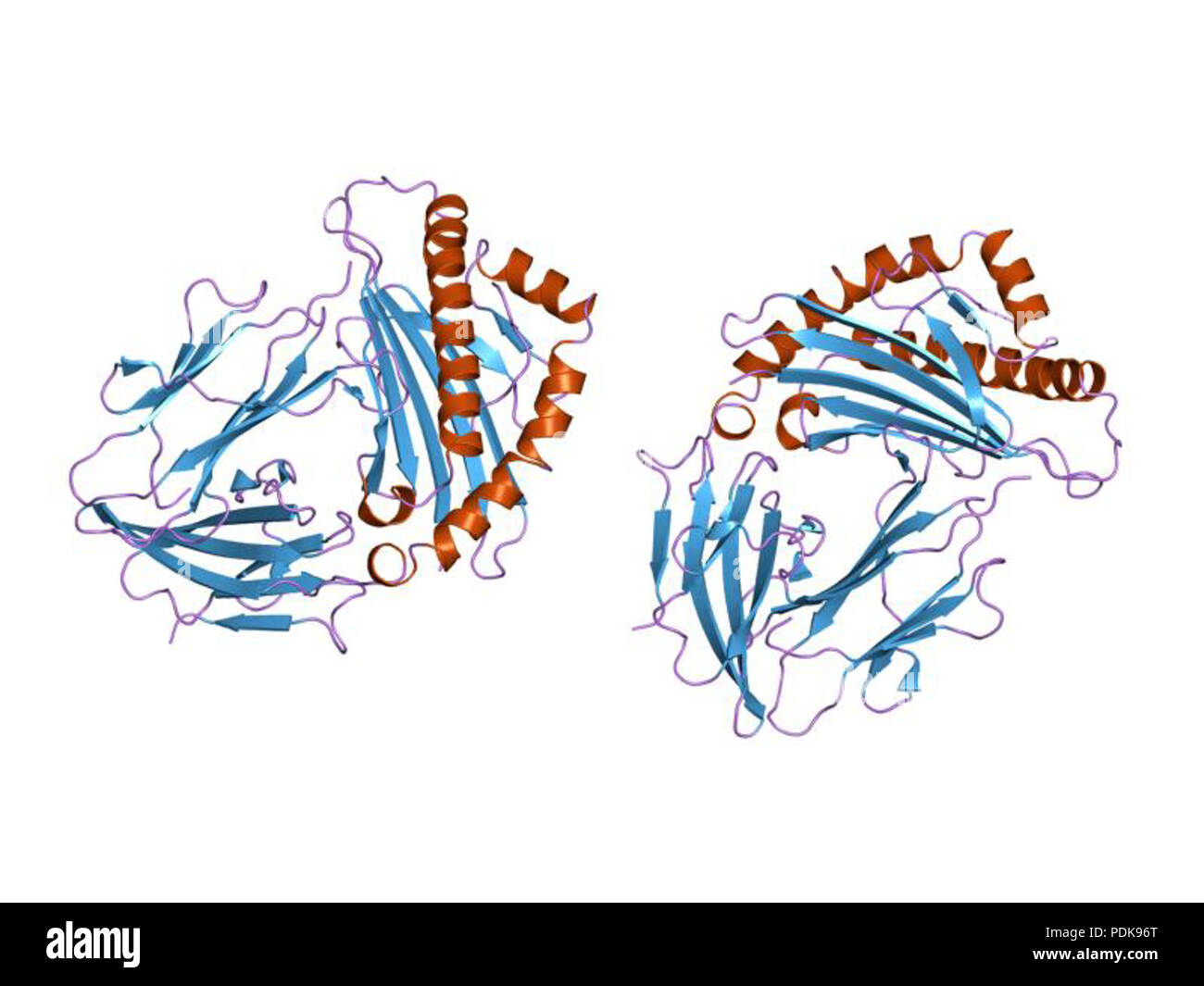 48 PDB 1hhk EBI Foto Stock
