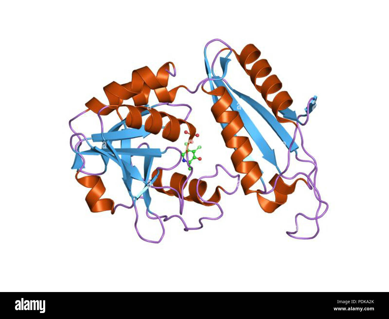 51 PDB 1i2k EBI Foto Stock