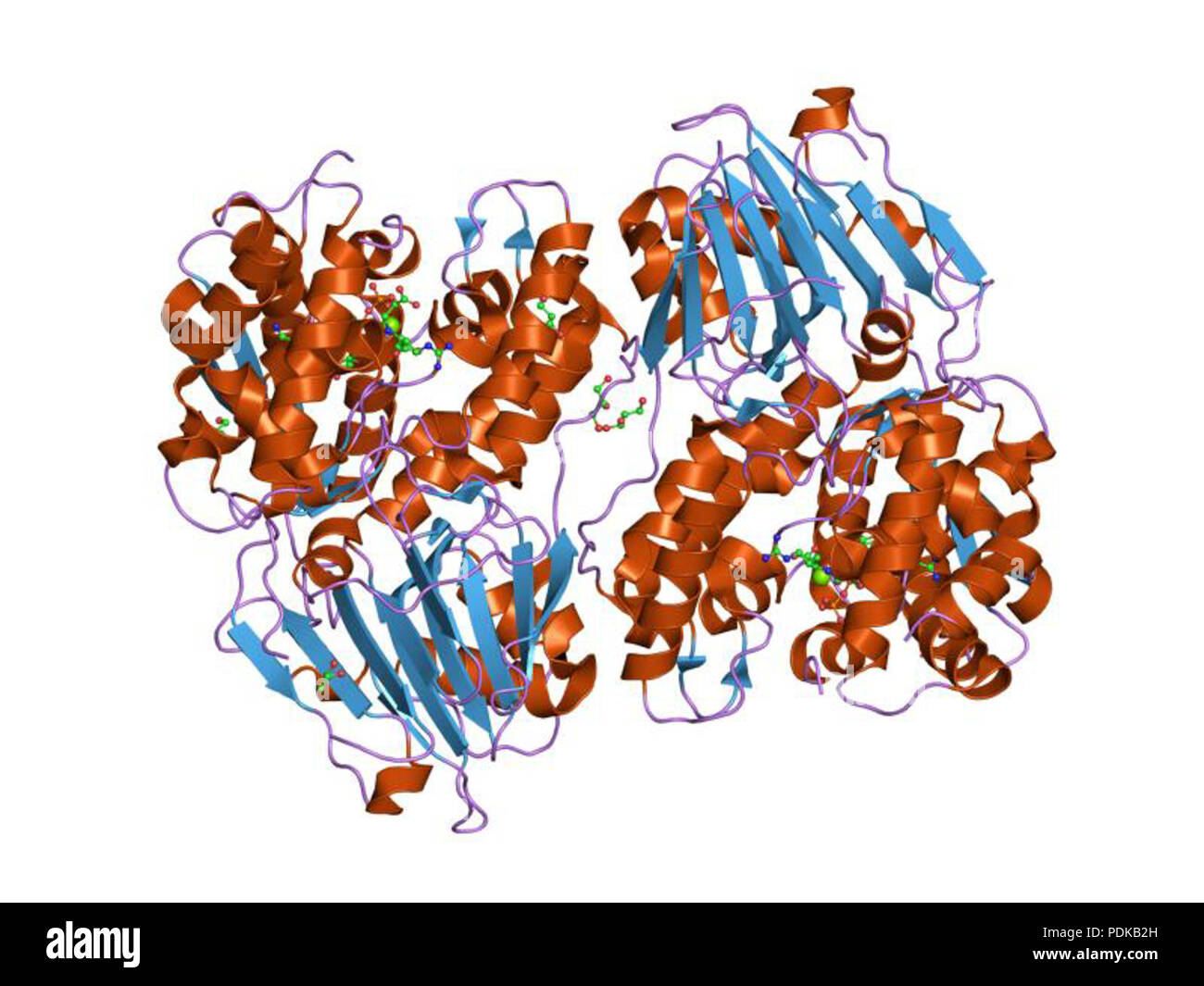 59 PDB 1jgt EBI Foto Stock