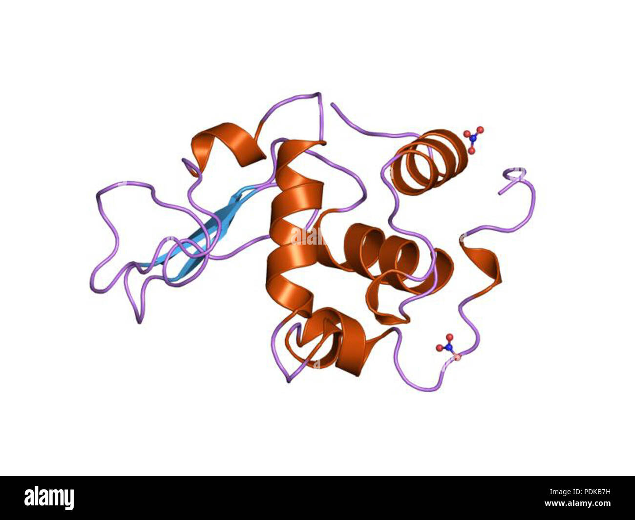 60 PDB 1jkd EBI Foto Stock