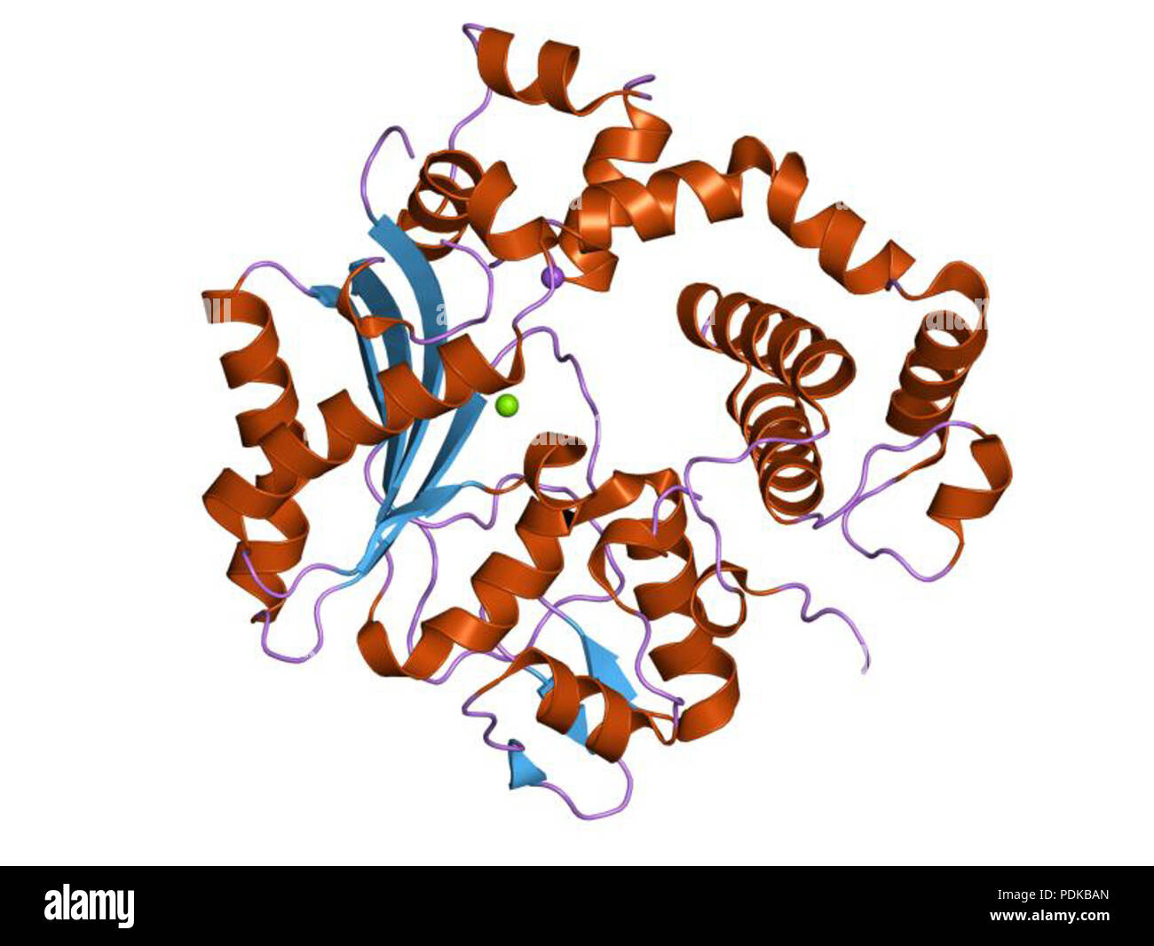 60 PDB 1EBI jms Foto Stock