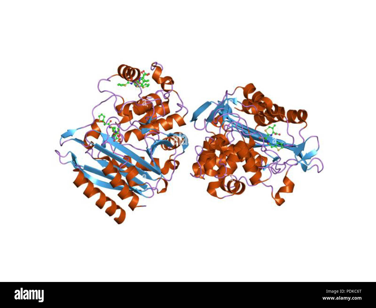 68 PDB 1kvl EBI Foto Stock