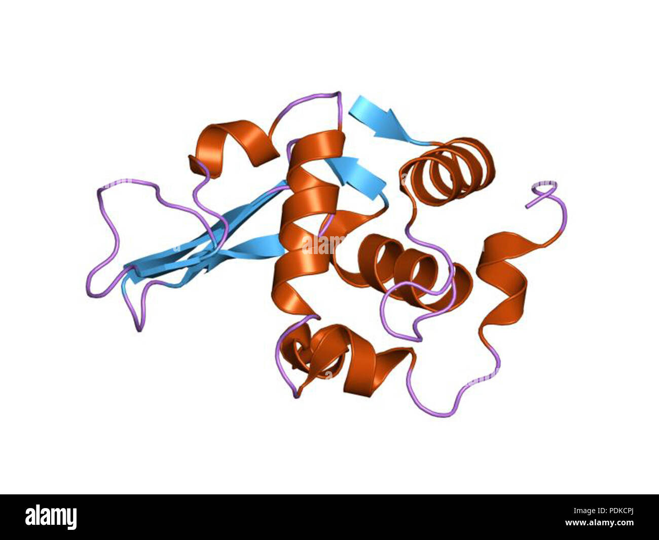 70 PDB 1laa EBI Foto Stock