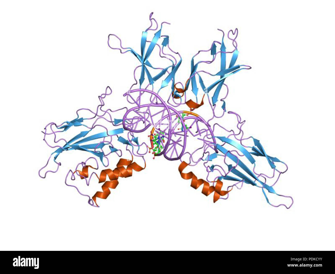 71 PDB 1lei EBI Foto Stock