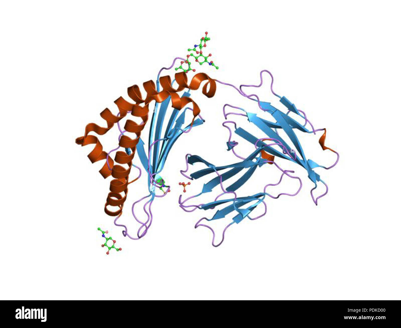 71 PDB 1lek EBI Foto Stock