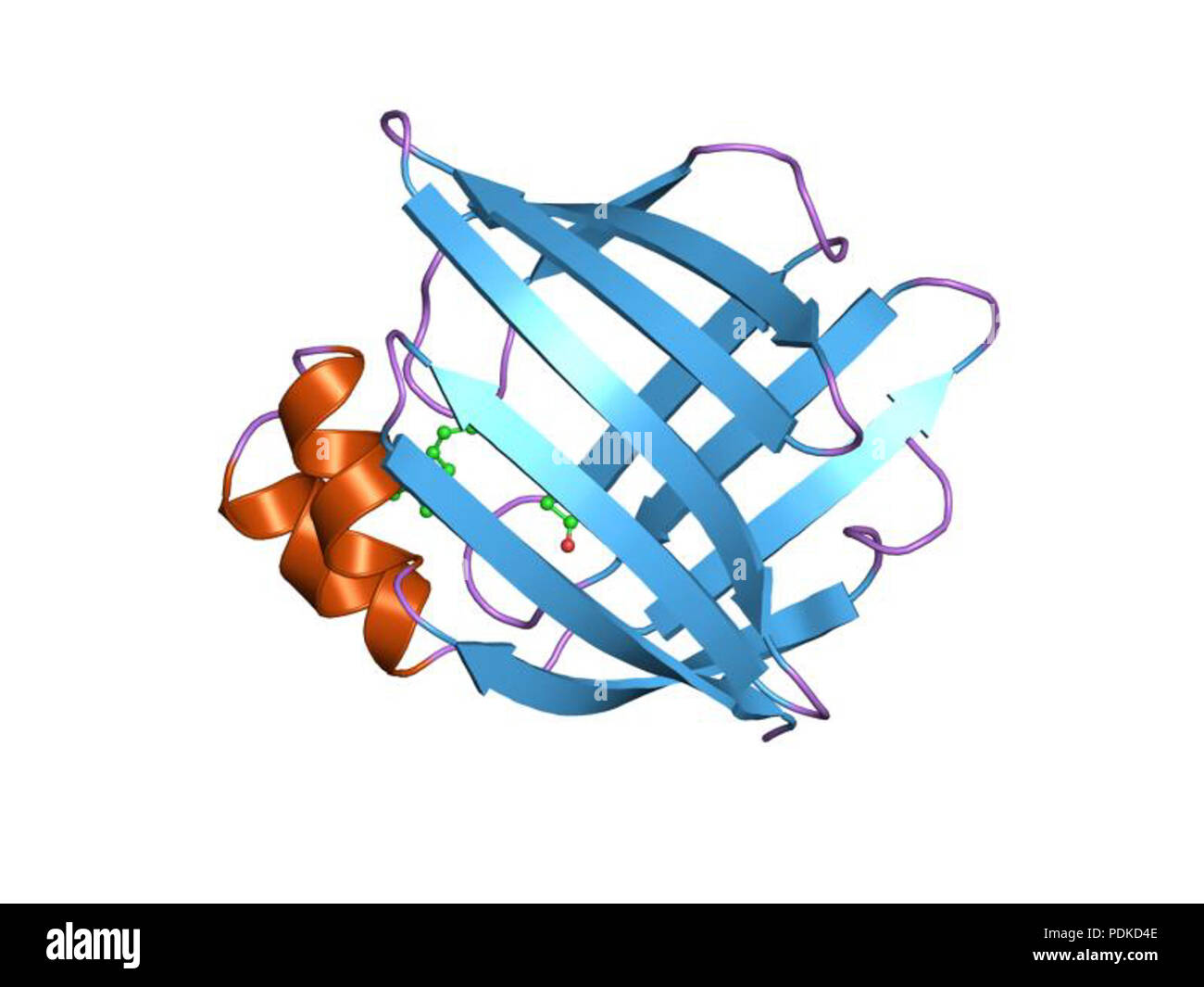 71 PDB 1coperchio EBI Foto Stock