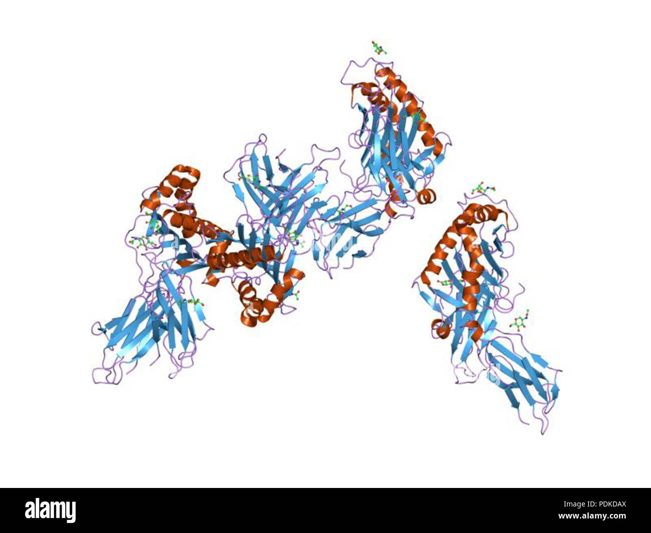 72 PDB 1lnu EBI Foto Stock