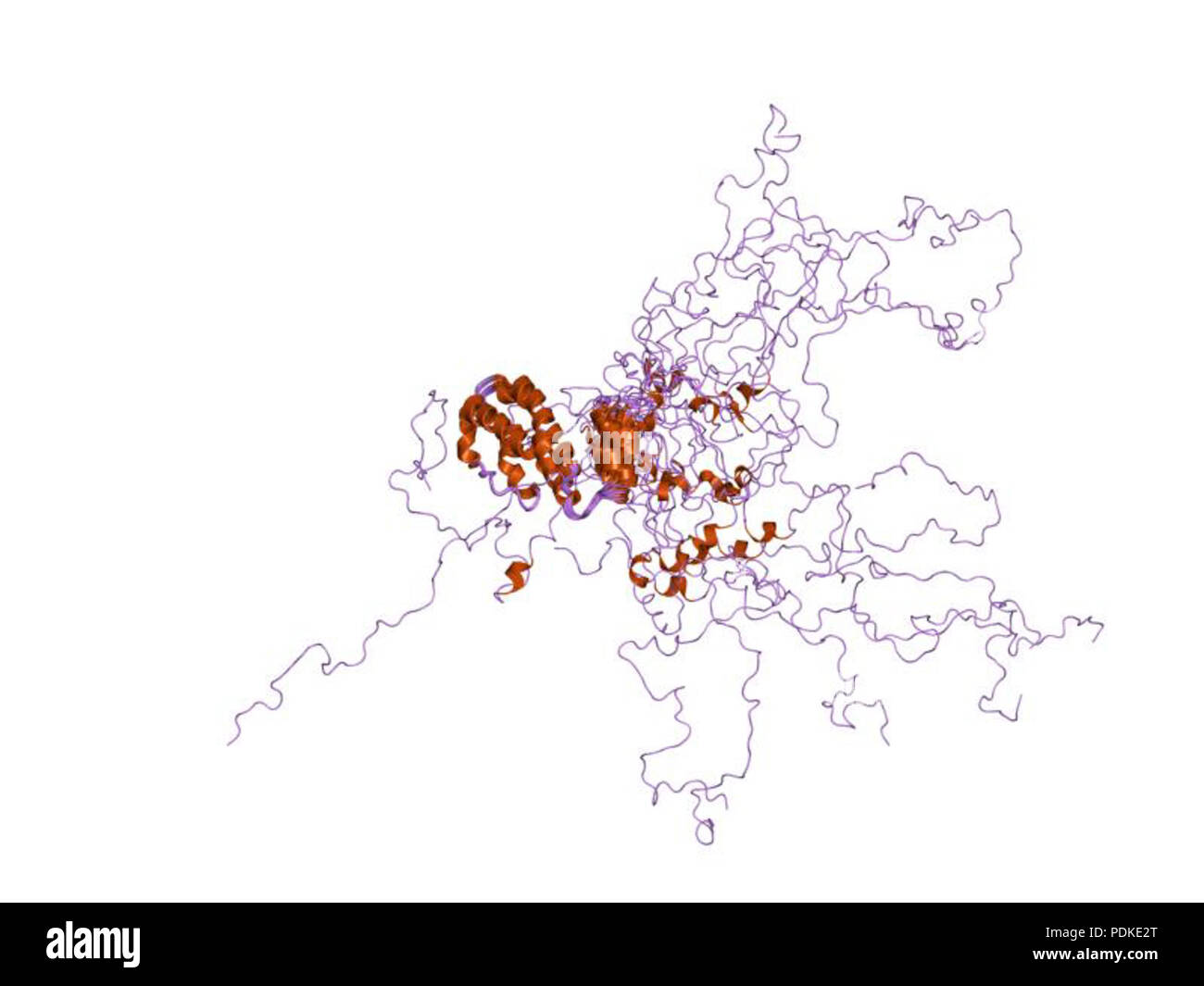 80 PDB 1n4c EBI Foto Stock